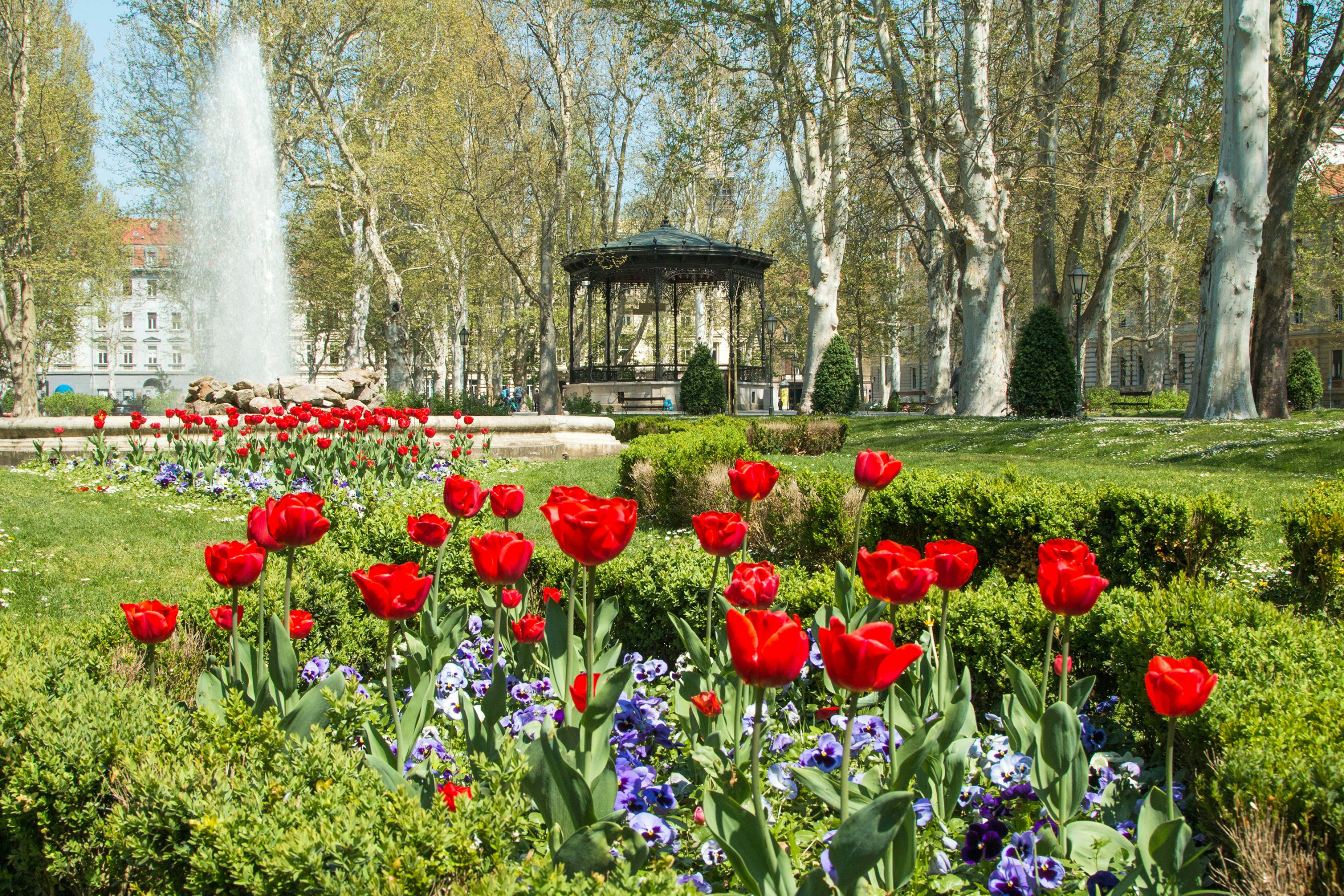 Tulips and music pavilion in Zrinjevac park in Zagreb, Croatia