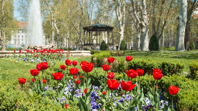 Tulips and music pavilion in Zrinjevac park in Zagreb, Croatia