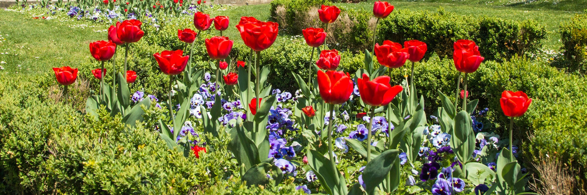 Tulips and music pavilion in Zrinjevac park in Zagreb, Croatia