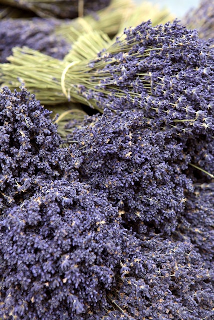 Bunches of lavender for sale at Apt market.