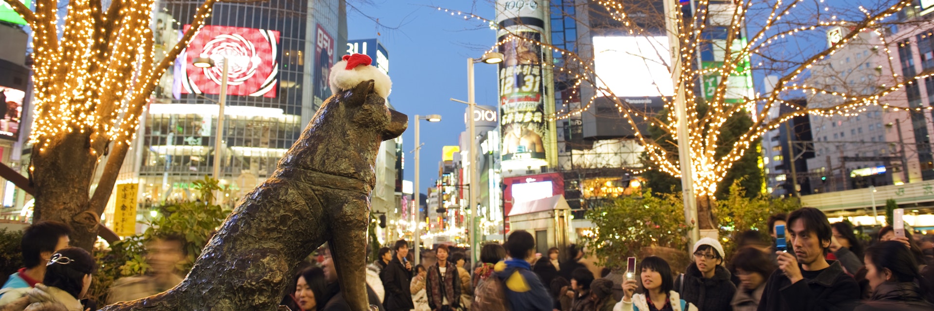 Asia, Japan, Tokyo, Shibuya ward, Hachiko dog meeting point, Christmas lights