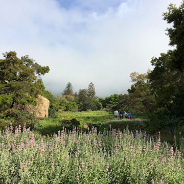 Santa Barbara Botanic Garden
