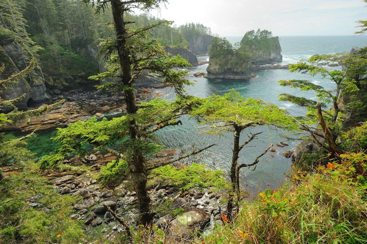 beautiful seascape in cape flattery of olympic national park, washington, usa; Shutterstock ID 54140413; Your name (First / Last): Emma Sparks; GL account no.: 65050; Netsuite department name: Online Editorial; Full Product or Project name including edition: Best_in_the_US_POIs