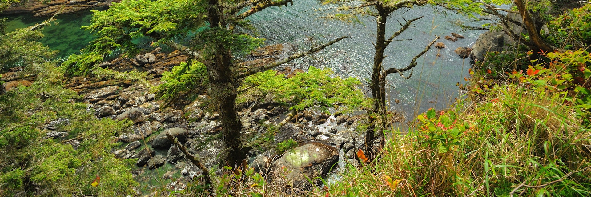 beautiful seascape in cape flattery of olympic national park, washington, usa; Shutterstock ID 54140413; Your name (First / Last): Emma Sparks; GL account no.: 65050; Netsuite department name: Online Editorial; Full Product or Project name including edition: Best_in_the_US_POIs
