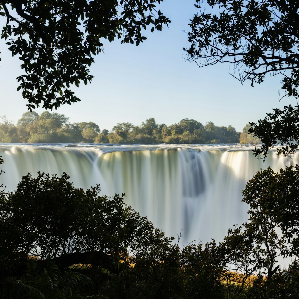 Trees in front of Victoria Falls, Matabeleland North, Zimbabwe