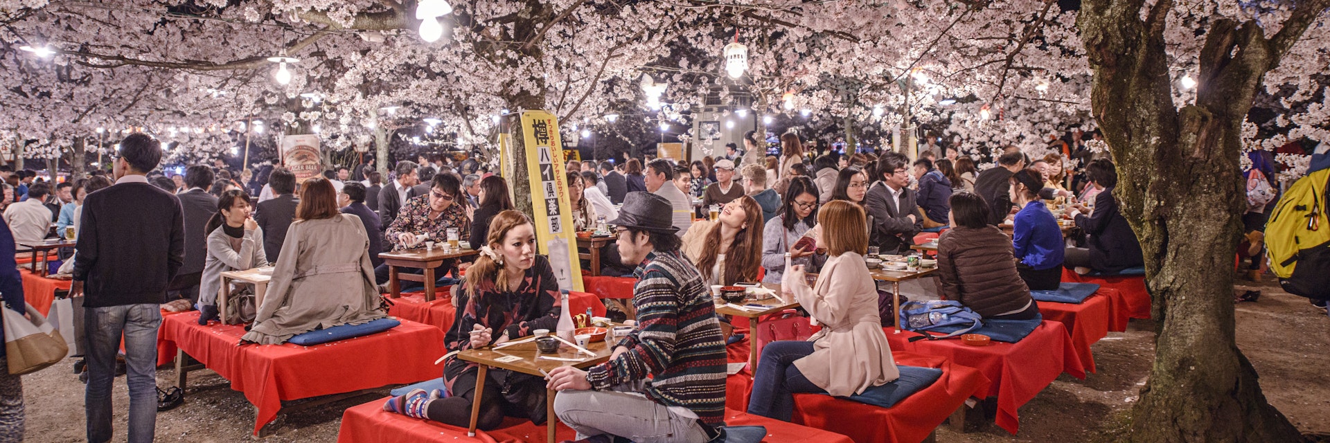 KYOTO, JAPAN - APRIL 3, 2014: Crowds enjoy the spring cherry blossoms by partaking in seasonal nighttime Hanami festivals in Maruyama Park.