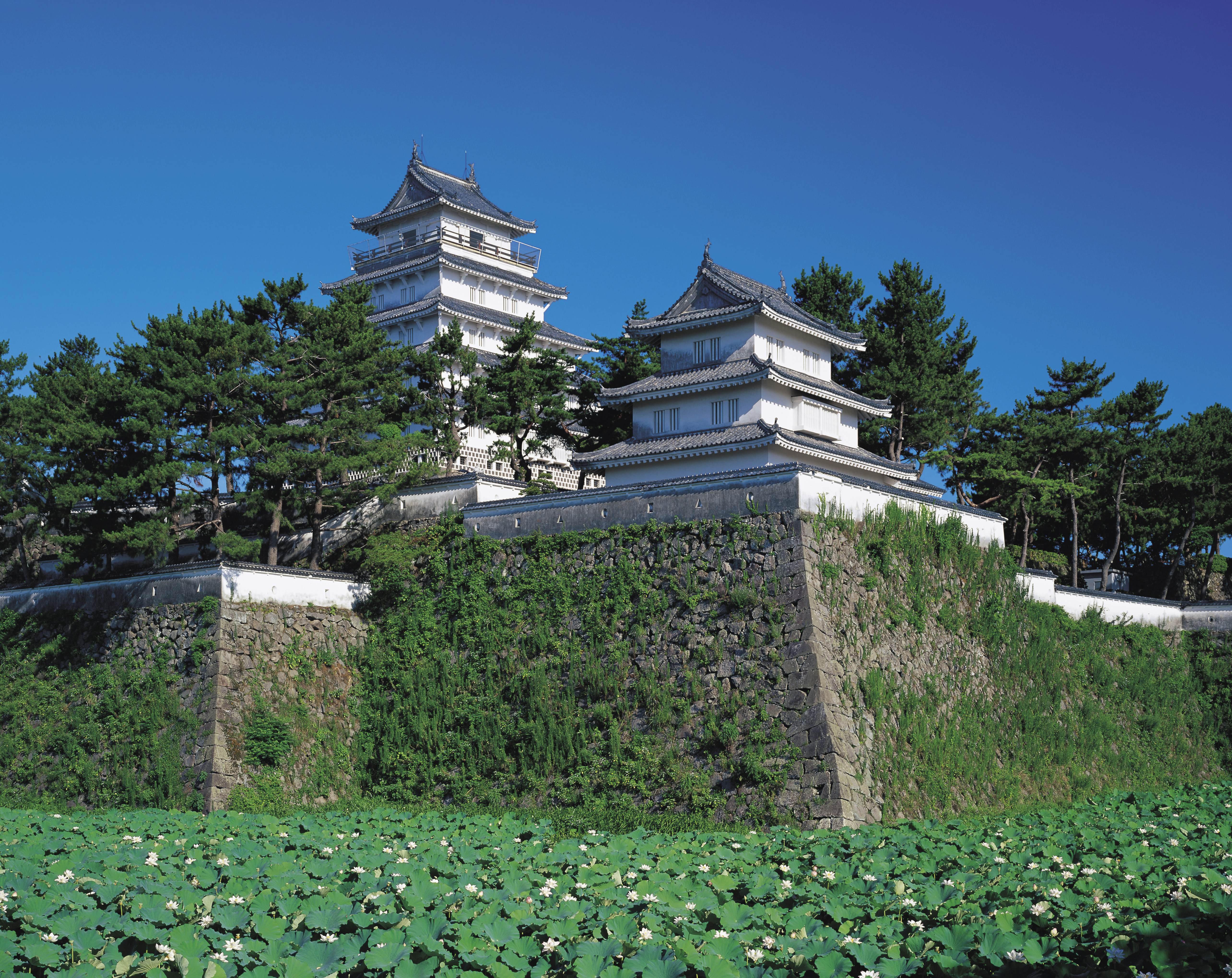 Shimabara Castle, Nagasaki Prefecture, Japan, Low Angle View