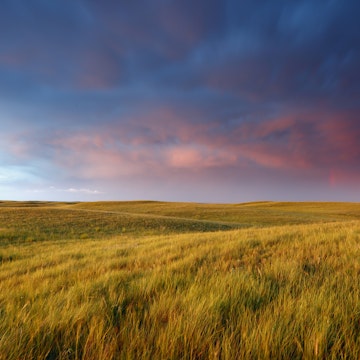 Sunset light on the Canadian Prairies in Saskatchewan, Canada