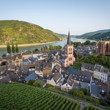 After hiking up through the vineyard to the top of an old tower we were greeted with this wonderful view of tranquil Bacharach.