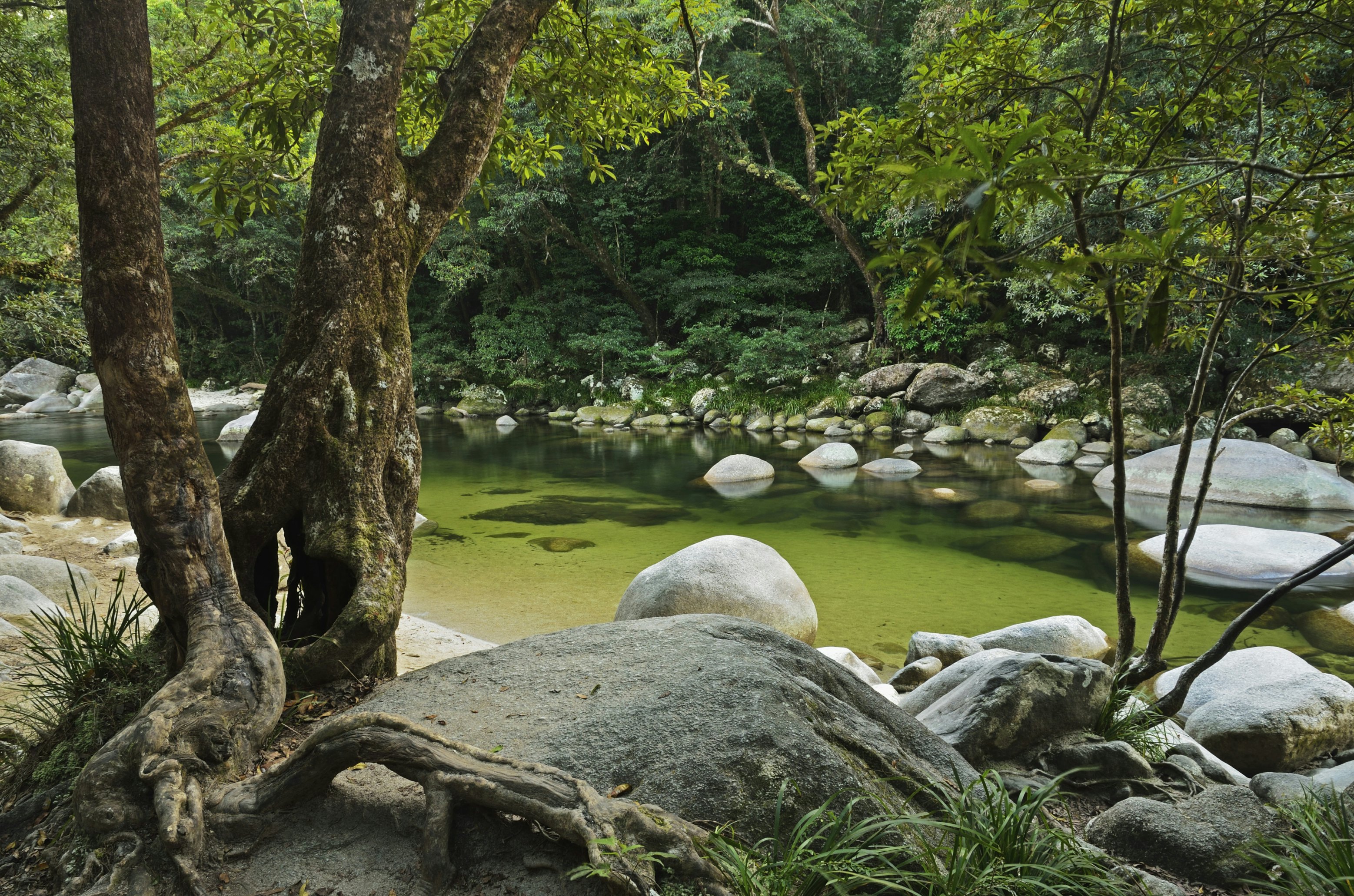 Mossman Gorge, Daintree National Park, UNESCO World Heritage Site, Queensland, Australia