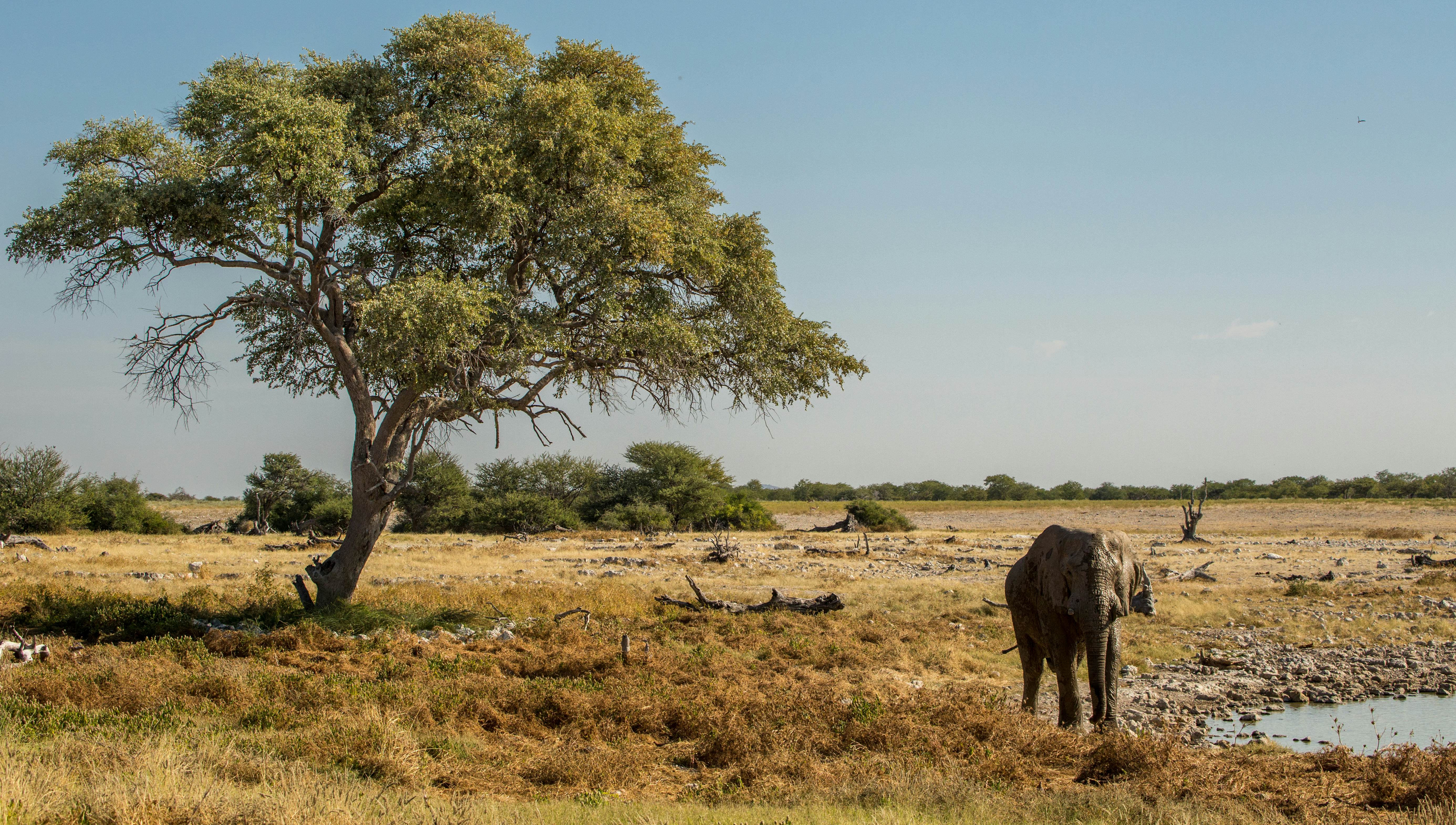 Namibia Travel | Africa - Lonely Planet