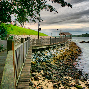 Changi boardwalk.