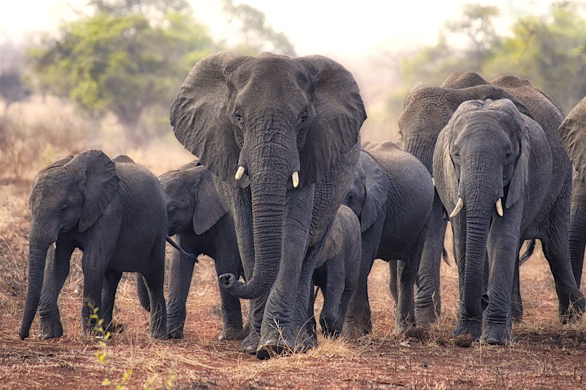 south africa on