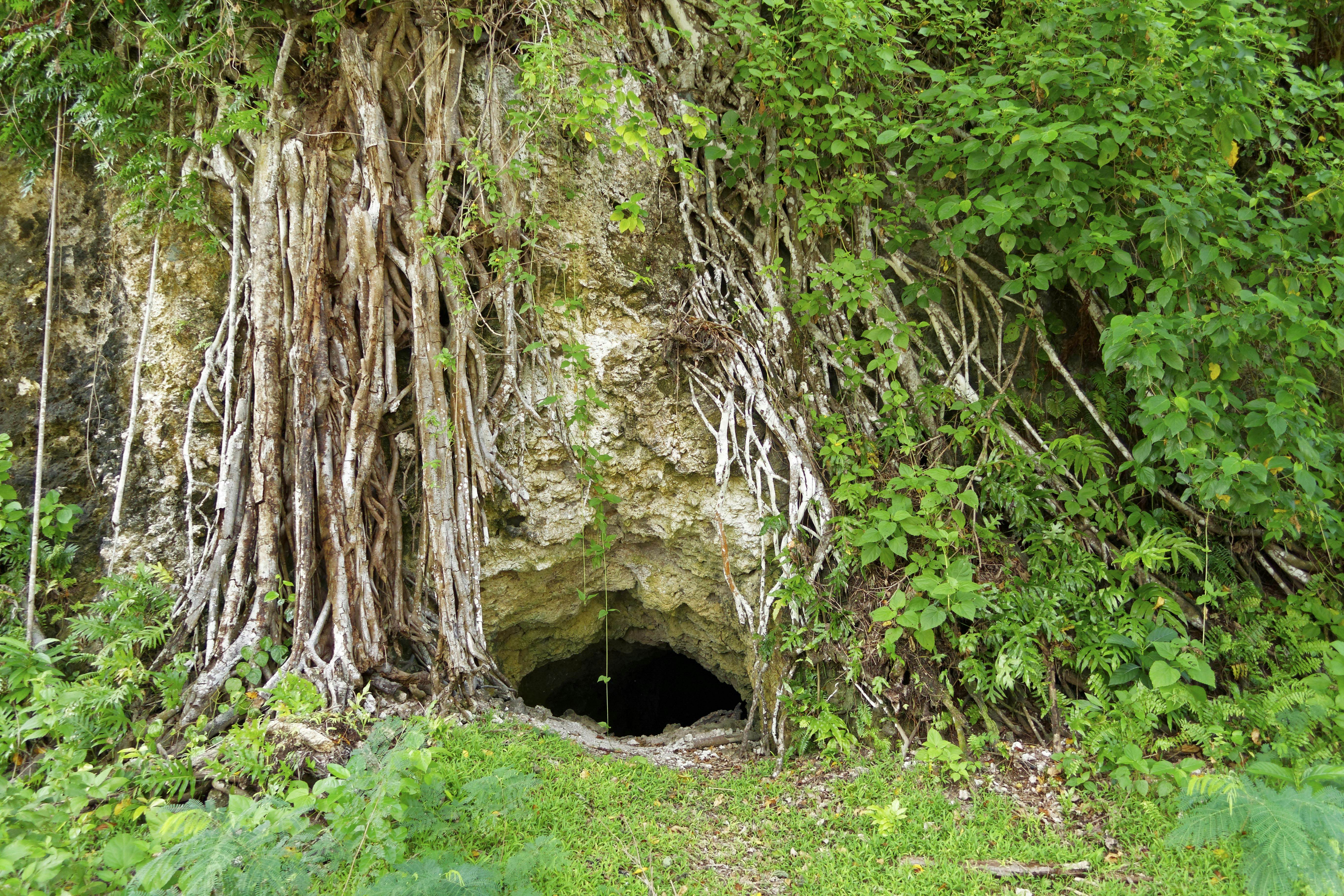 Thousand Man Cave, Peleliu Island, Palau