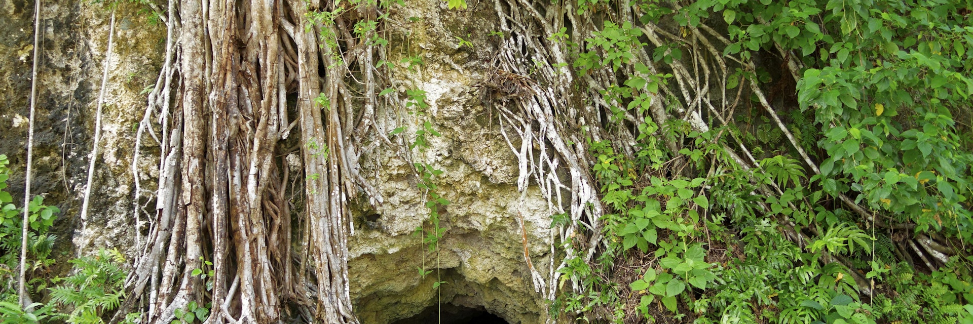 Thousand Man Cave, Peleliu Island, Palau