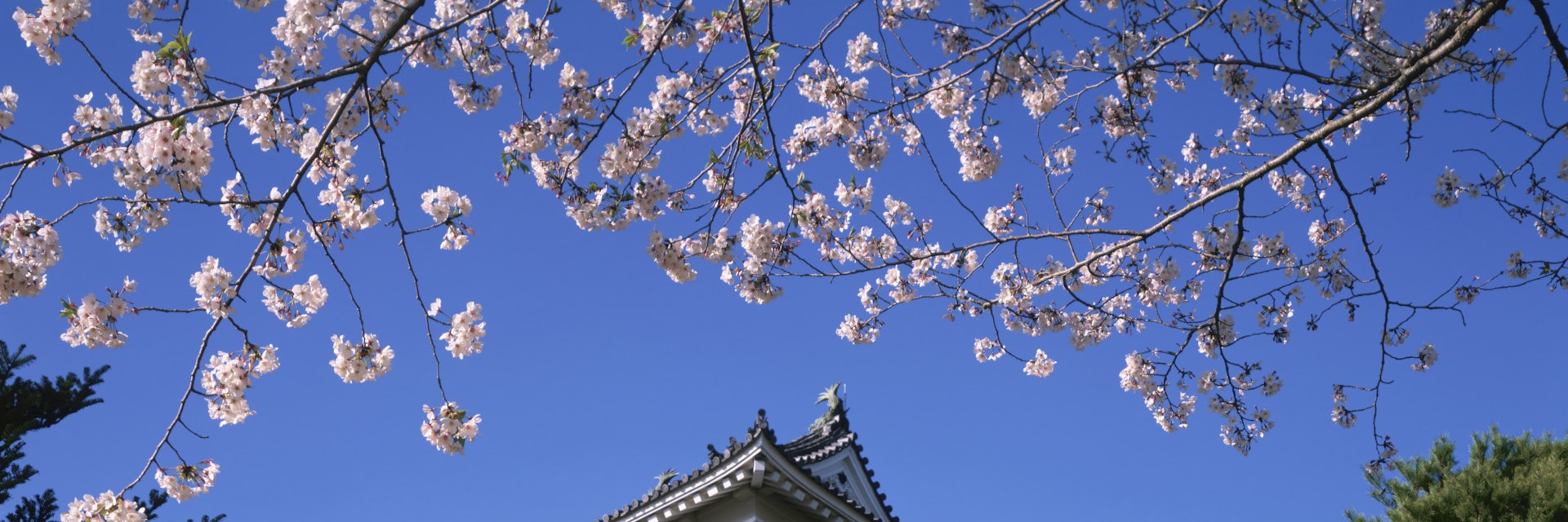 Japan, Kochi Prefecture, Kochi Castle