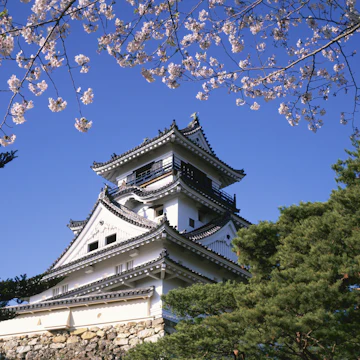 Japan, Kochi Prefecture, Kochi Castle