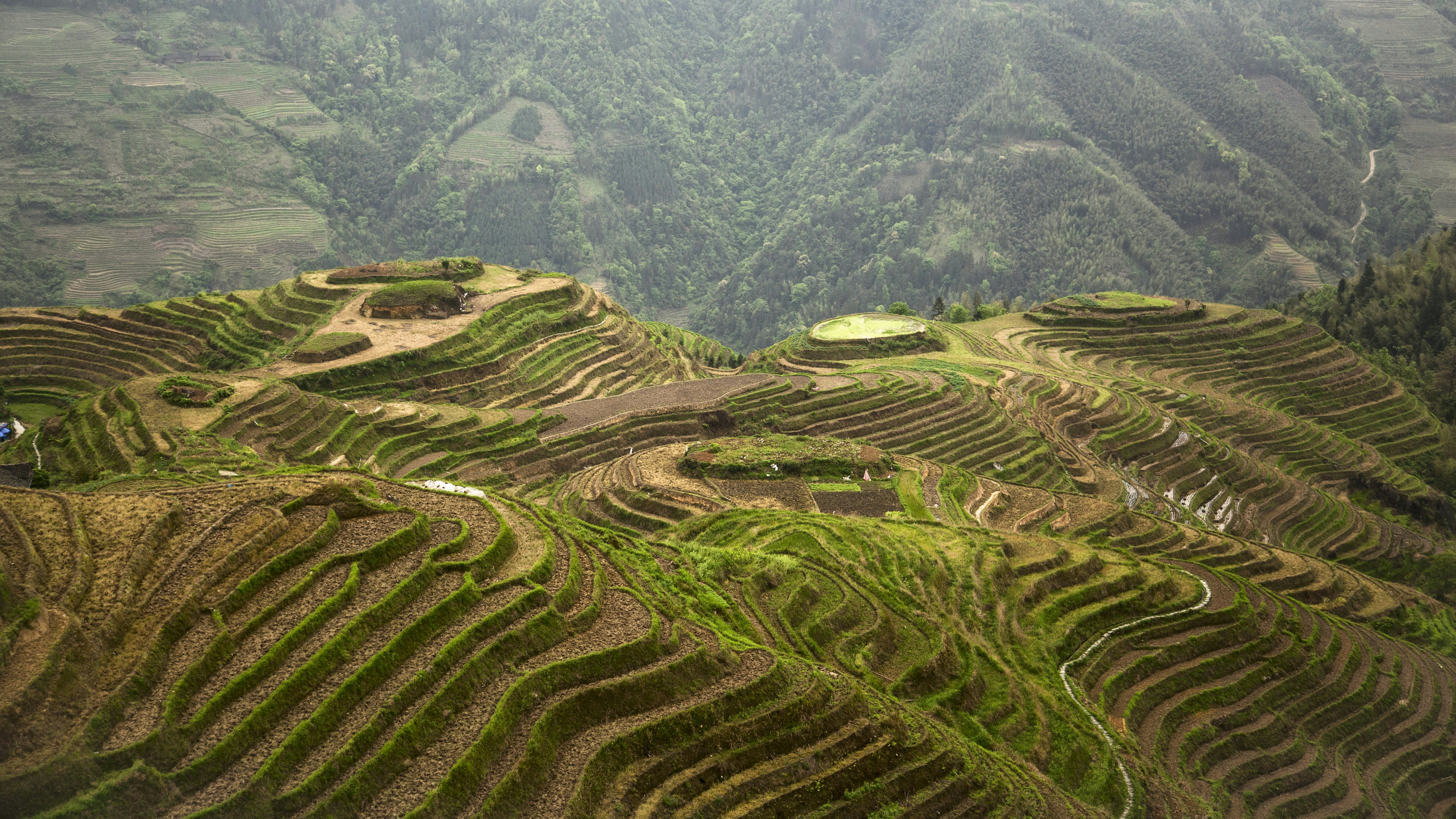 The Longji terraces area is famous for the excessively large number of terraced rice paddy fields on its mountain, which have created an intricate pattern on the hillsides. Set amongst the villages of the minorities Zhuang and Yao, the area allows for easy to moderate walking/hiking possibilities along and up hillsides to view the panoramas of the terraced rice fields