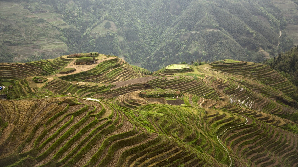The Longji terraces area is famous for the excessively large number of terraced rice paddy fields on its mountain, which have created an intricate pattern on the hillsides. Set amongst the villages of the minorities Zhuang and Yao, the area allows for easy to moderate walking/hiking possibilities along and up hillsides to view the panoramas of the terraced rice fields