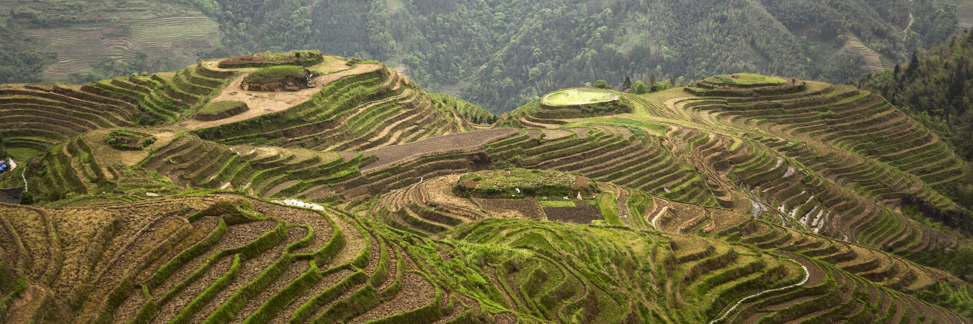 The Longji terraces area is famous for the excessively large number of terraced rice paddy fields on its mountain, which have created an intricate pattern on the hillsides. Set amongst the villages of the minorities Zhuang and Yao, the area allows for easy to moderate walking/hiking possibilities along and up hillsides to view the panoramas of the terraced rice fields