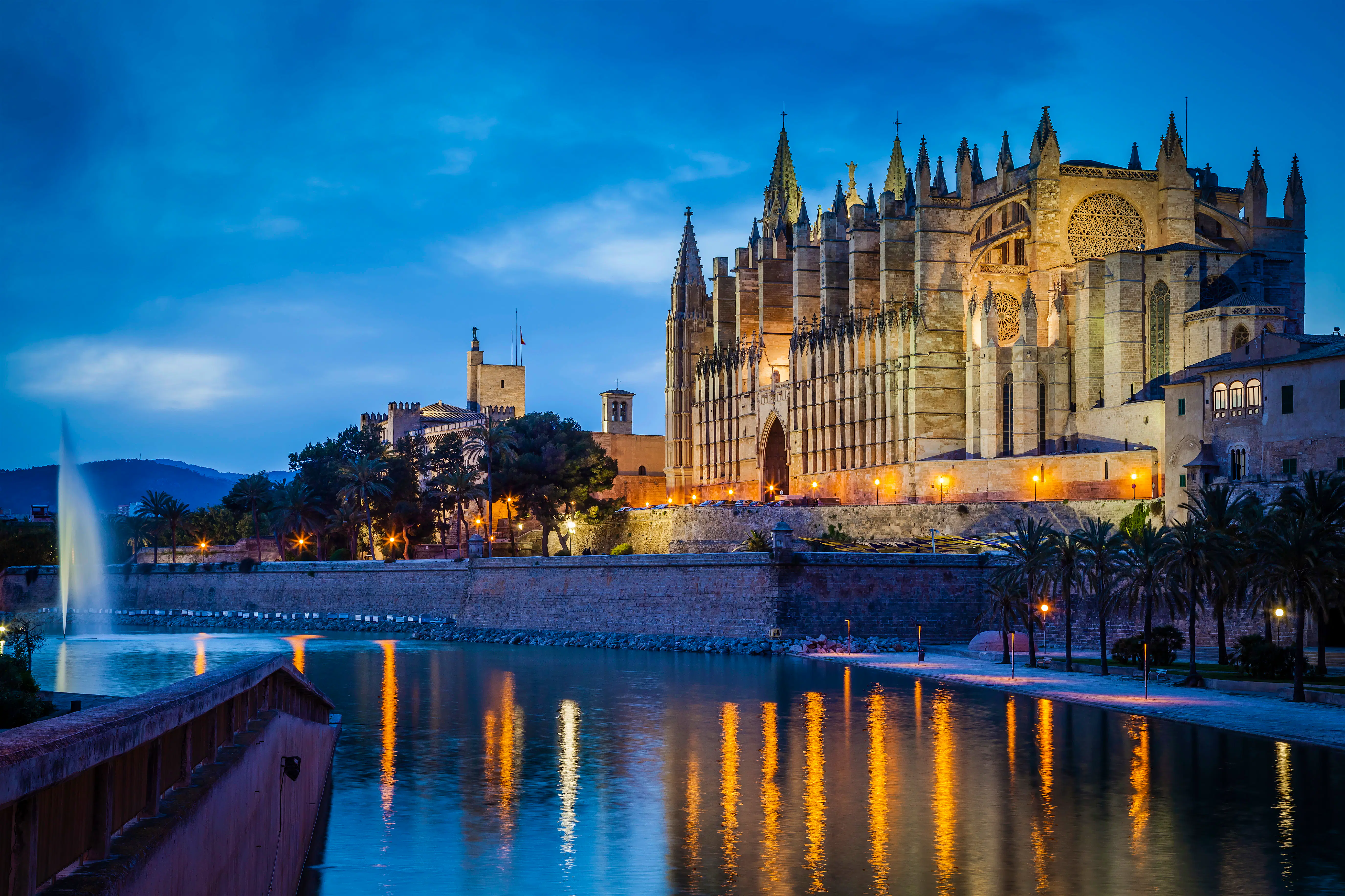 Palma Full Name Palma Full Name