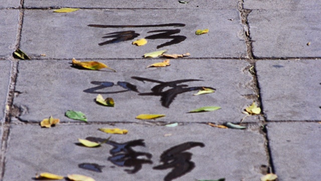 Man doing water calligraphy on  Jingshan (Sun Yet-Sen) Park pathway.
