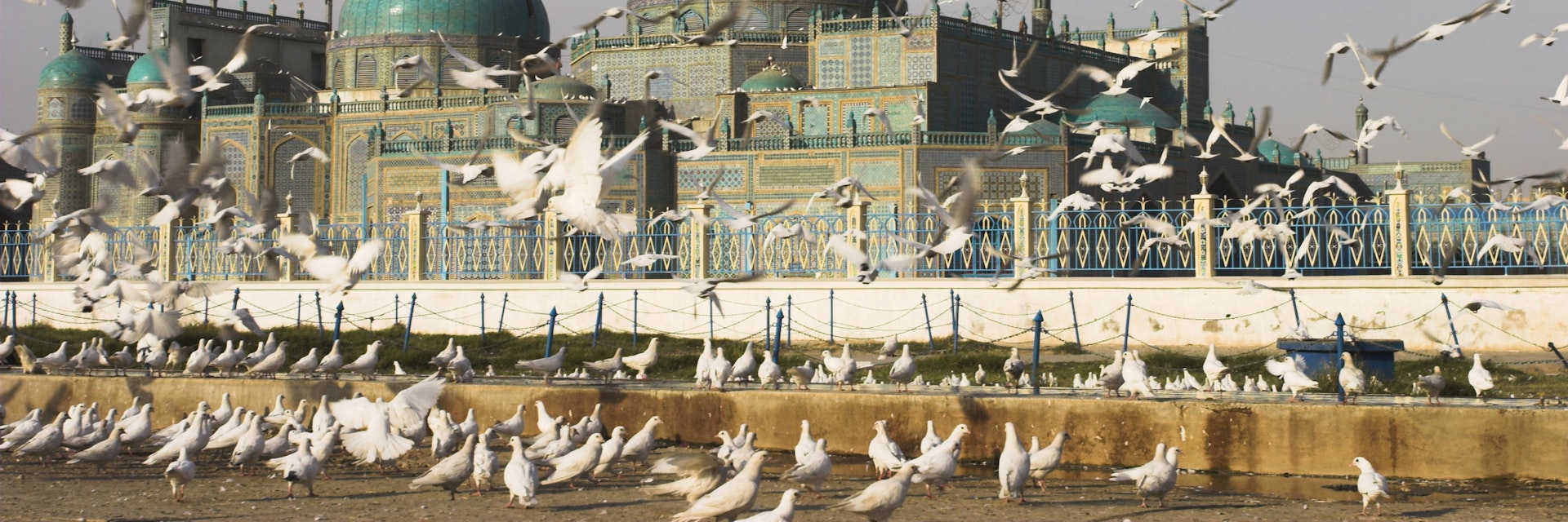 The famous white pigeons, Shrine of Hazrat Ali, Mazar-I-Sharif, Balkh province, Afghanistan, Asia