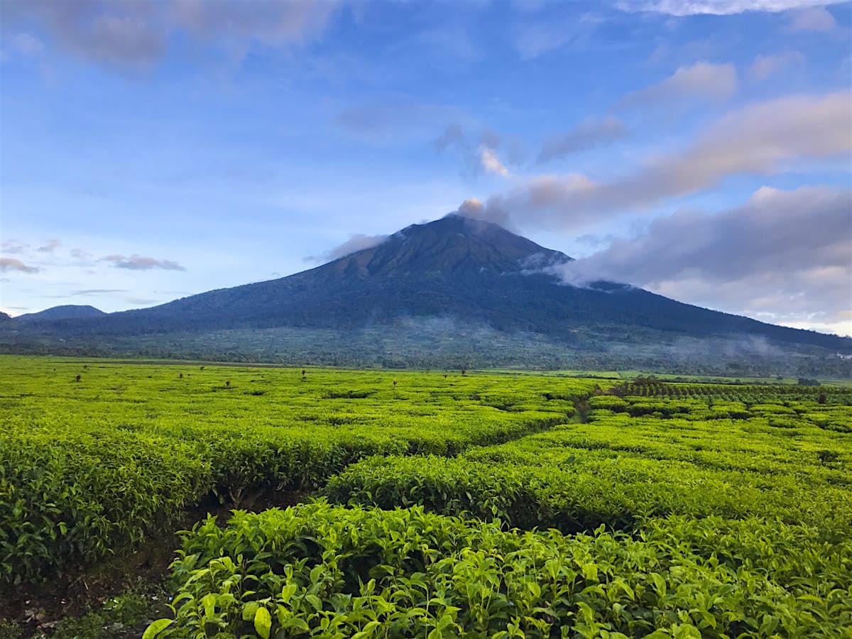  Kerinci  Valley  travel Indonesia  Asia Lonely Planet