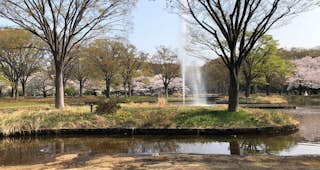 Top Things To Do In Tokyo Japan Lonely Planet