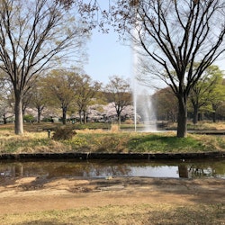 Another shot of the park, around the central fountain, Harajuku & Aoyama