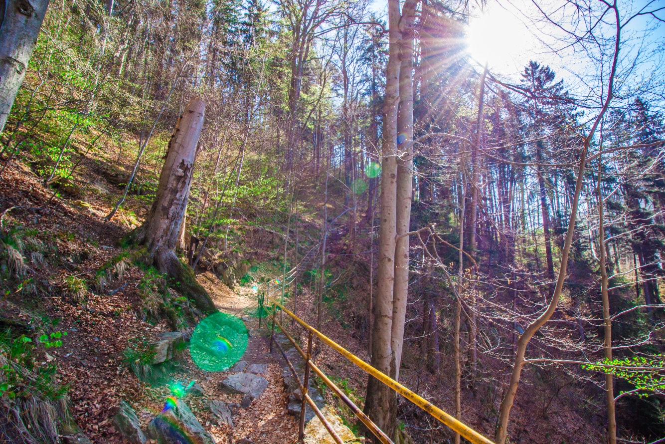 Trail in the mountains with sun above the head - Karkonosze; Shutterstock ID 592805762; Your name (First / Last): Gemma Graham; GL account no.: 65050; Netsuite department name: Online Editorial; Full Product or Project name including edition: BiT Destination Page Images