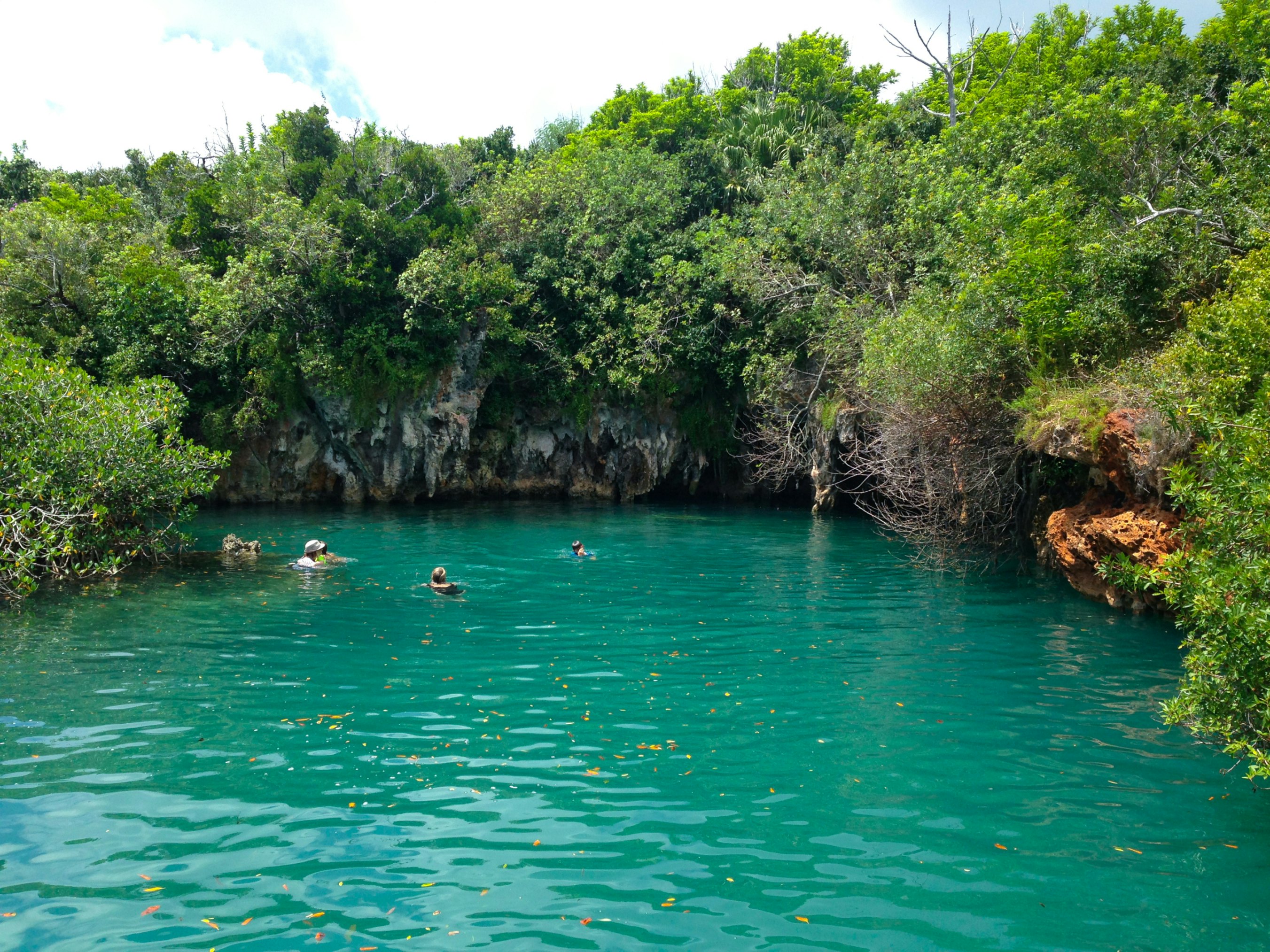 Image of Blue Hole Park & Walsingham Nature Reserve