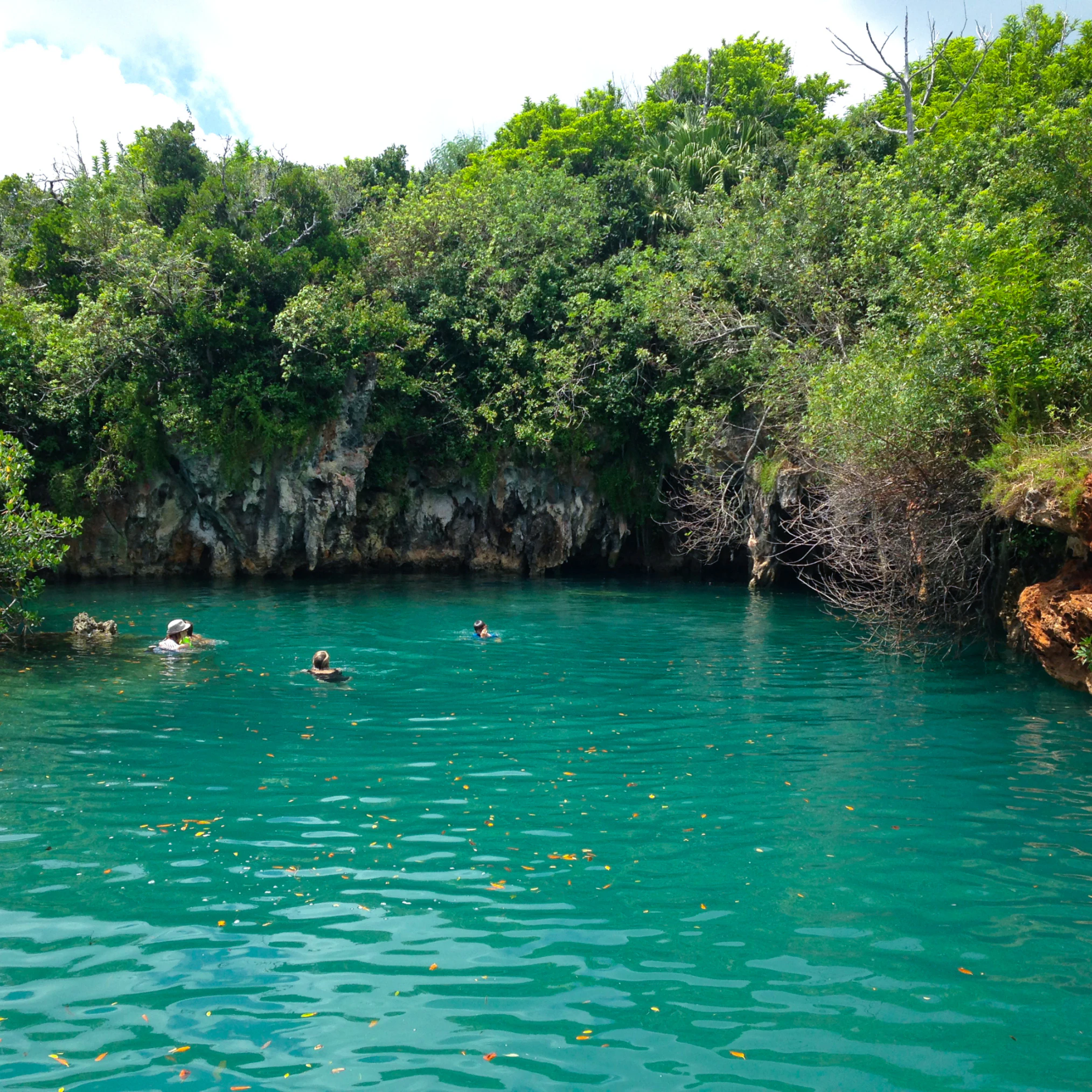 Image of Blue Hole Park & Walsingham Nature Reserve