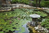 Zilker Botanical Garden Austin Usa Attractions Lonely Planet