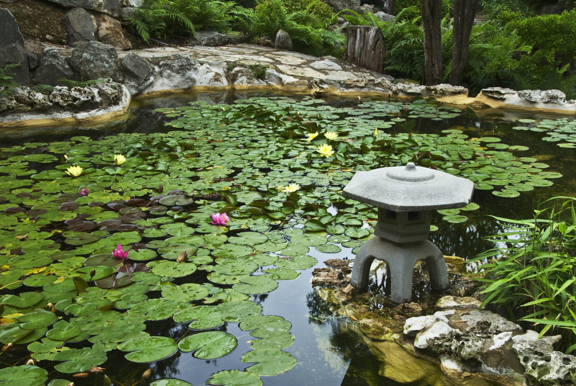 Zilker Botanical Garden Austin, USA Attractions Lonely
