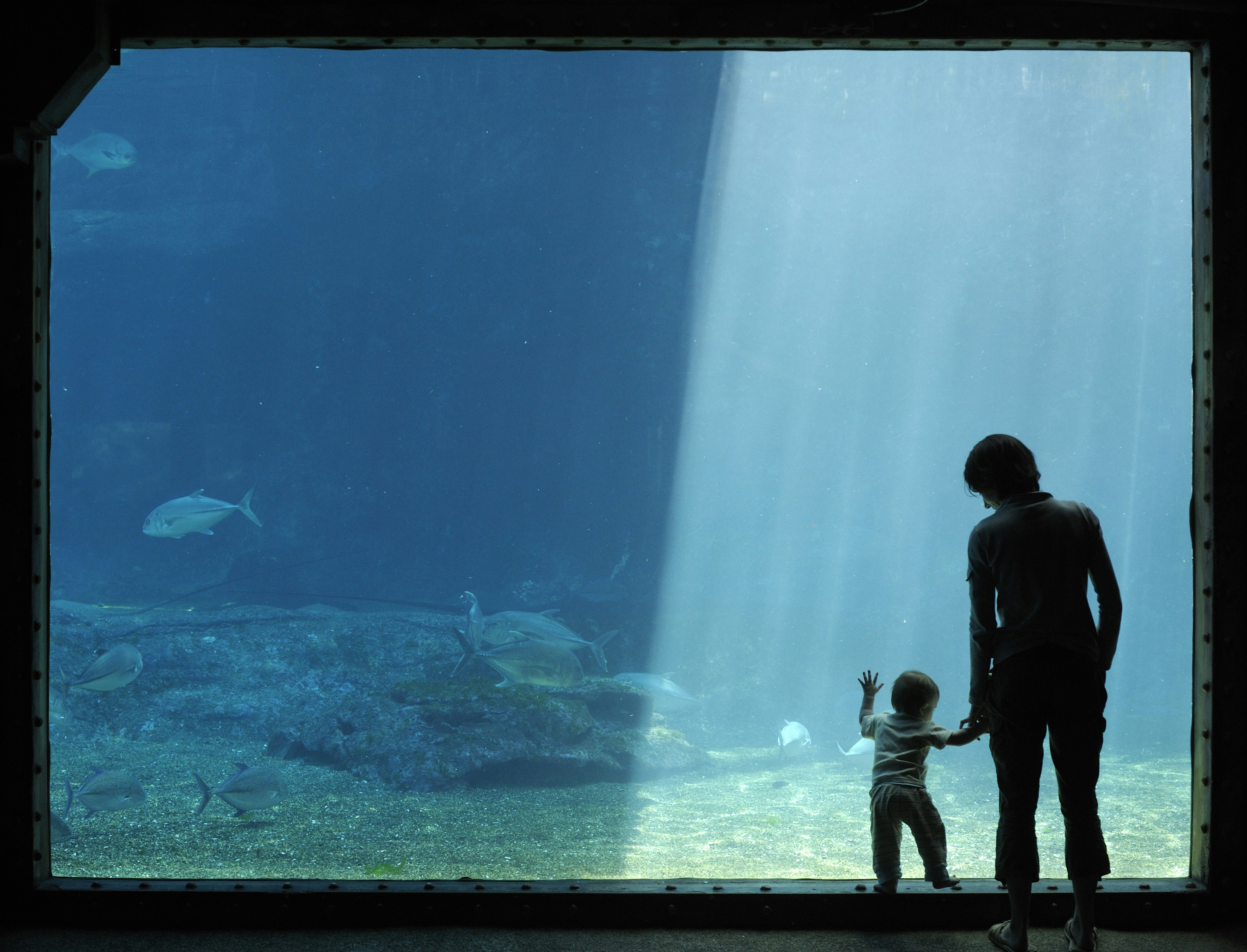 Toddler and mother looking at fish in a large aquarium, Ushaka, Durban, Kwazulu-Natal, South Africa