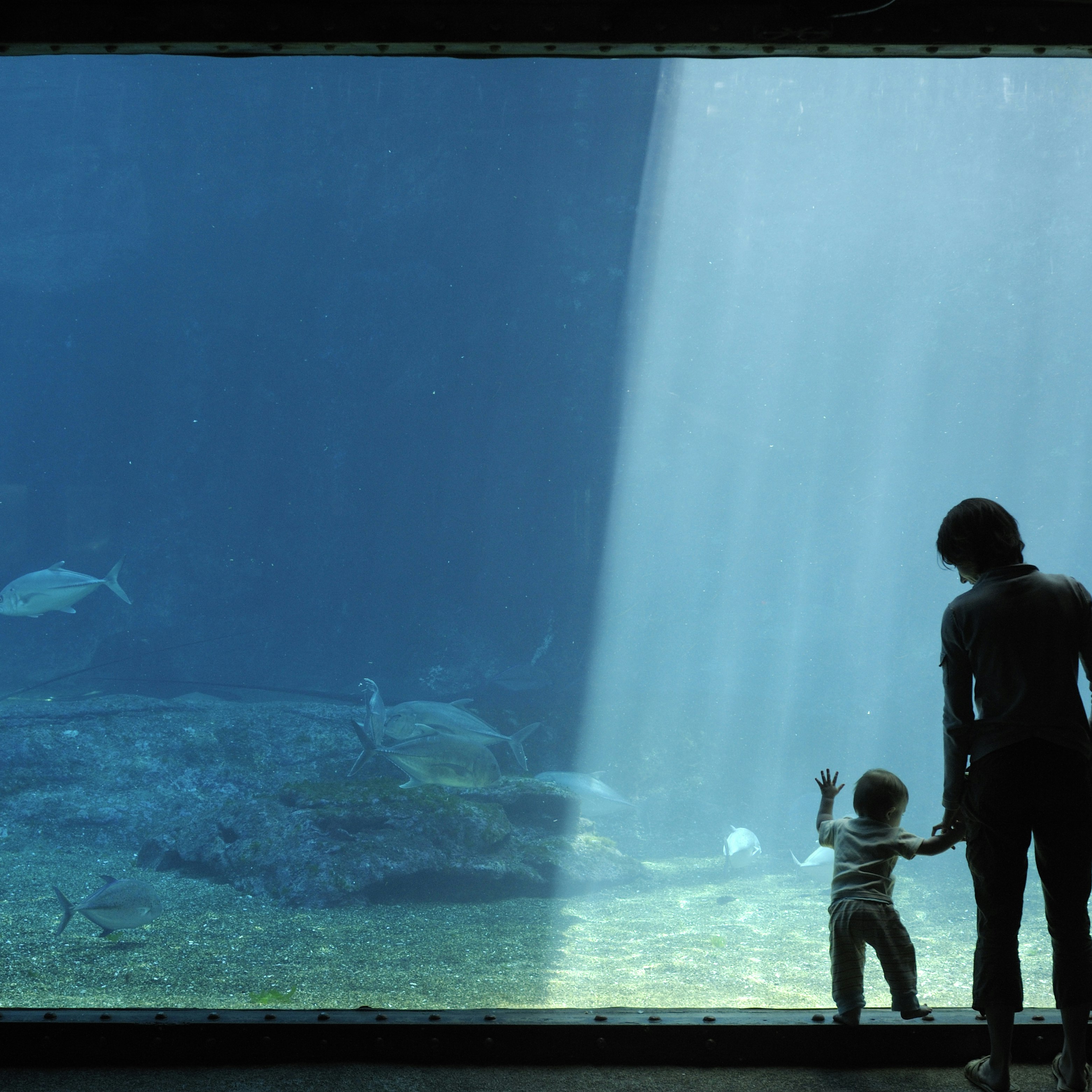 Toddler and mother looking at fish in a large aquarium, Ushaka, Durban, Kwazulu-Natal, South Africa