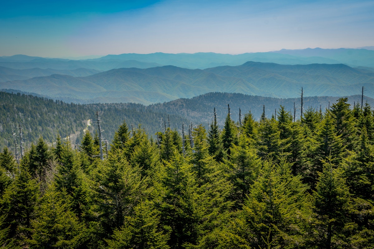 Looking South From Clingmans Dome over mountain range