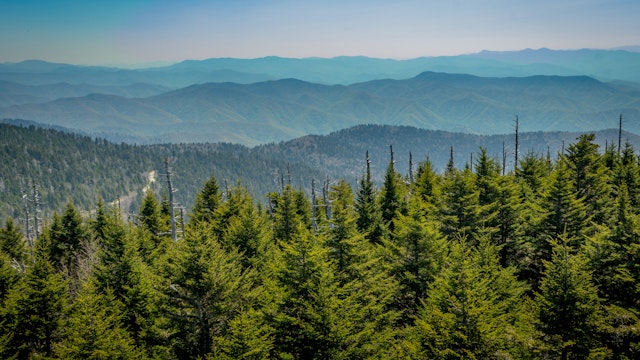 Looking South From Clingmans Dome over mountain range