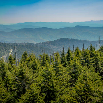 Looking South From Clingmans Dome over mountain range