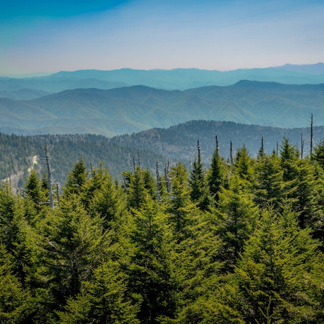 Looking South From Clingmans Dome over mountain range
