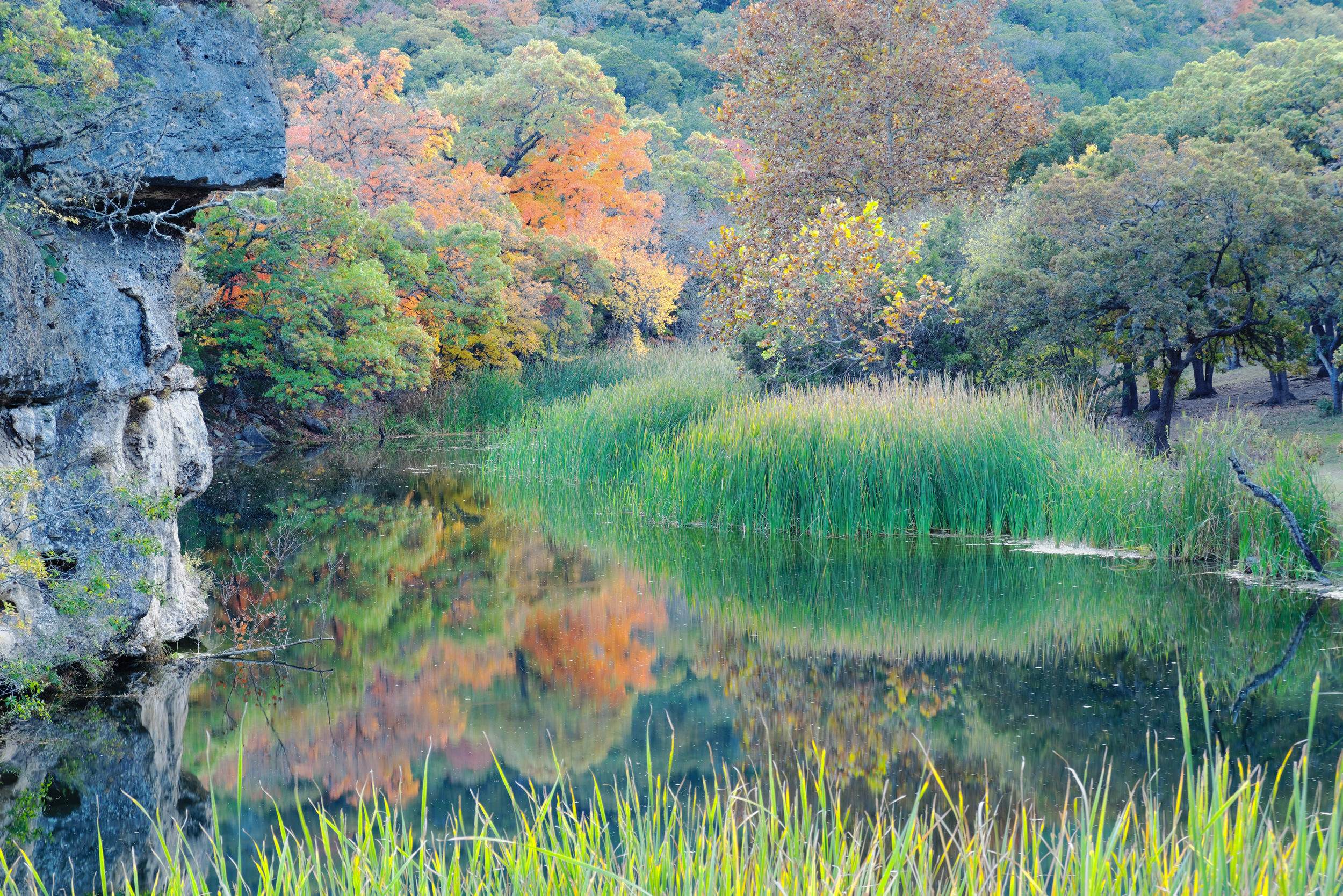 Lost Maples State Natural Area Sights Lonely