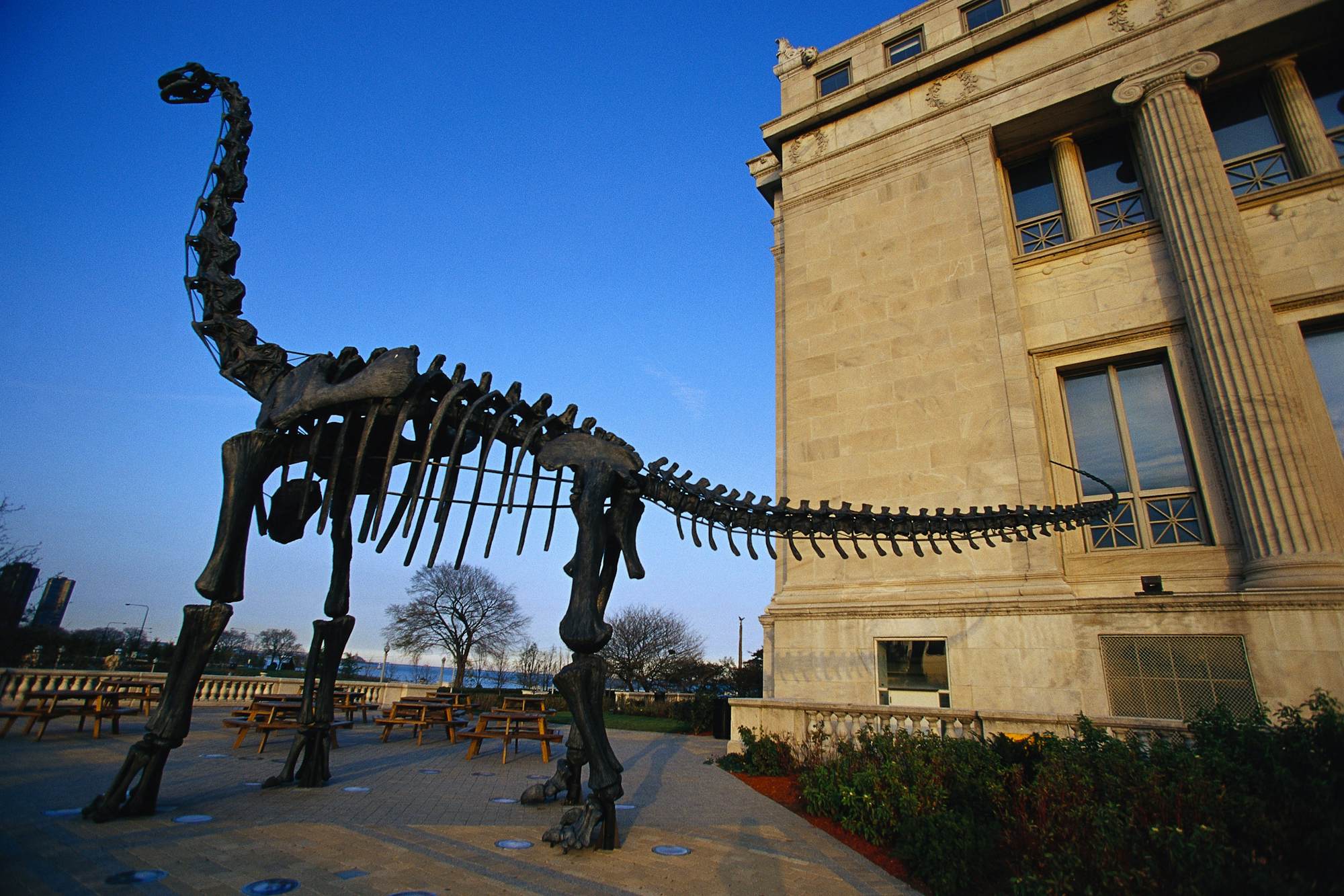 Field Museum of Natural History | Chicago, USA | Sights - Lonely Planet