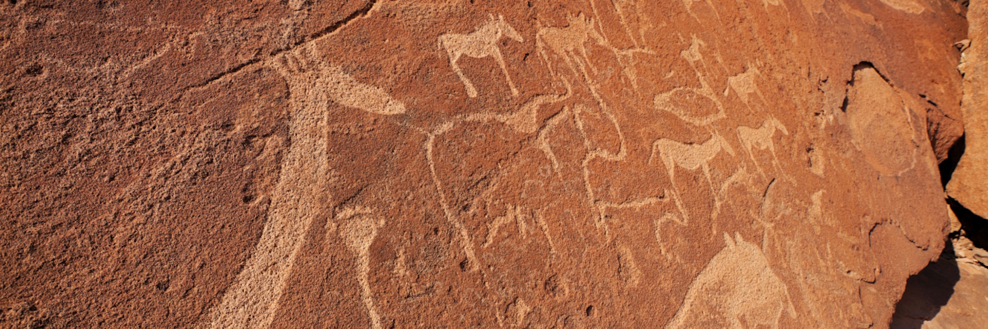 Twyfelfontein petroglyphs/ rock engravings.Namibia