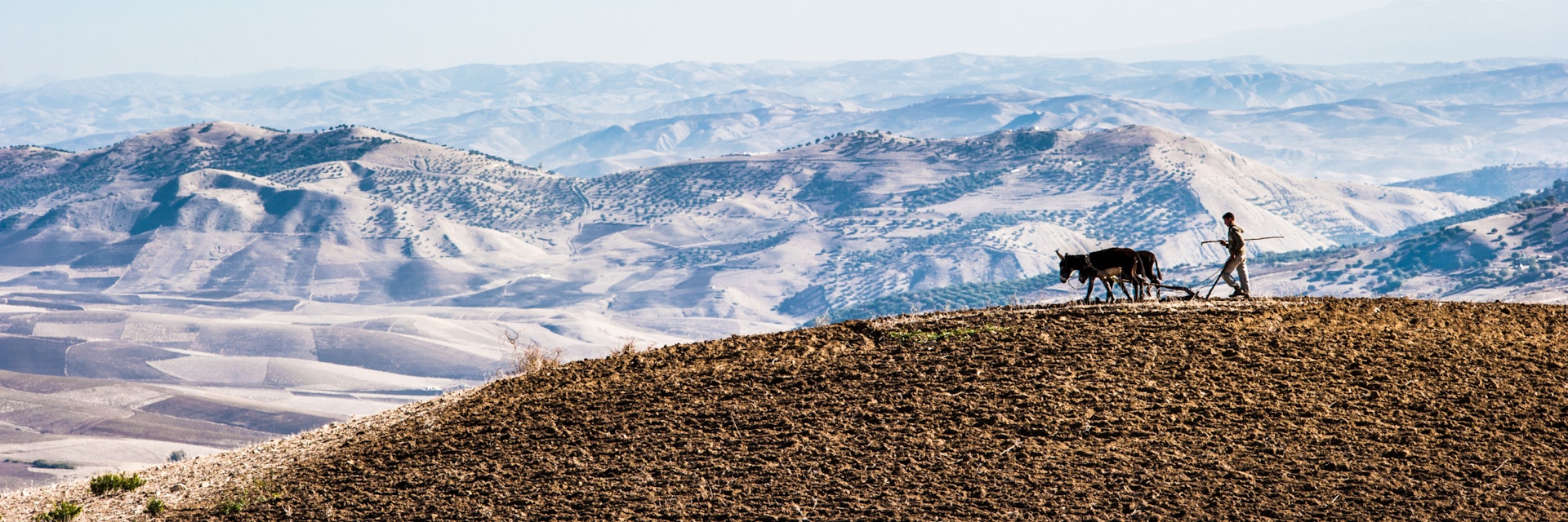 A farmer plowing with his donkey in the Morocco Atlas.