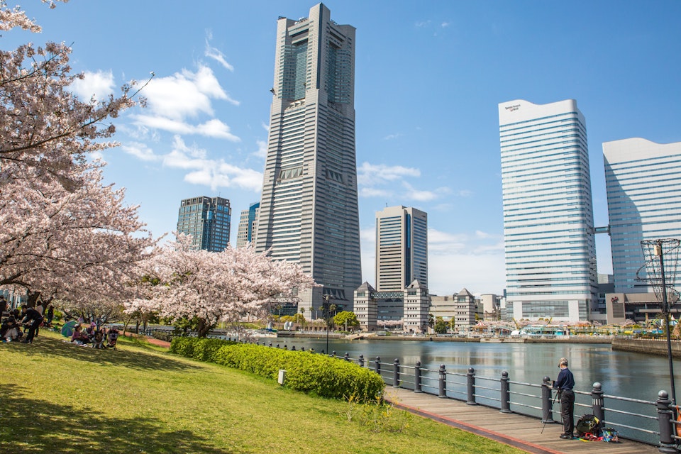 Landmark tower and Queens tower with Sakura shot on 12-April-2017; Shutterstock ID 644150710; Your name (First / Last): Laura Crawford; GL account no.: 65050; Netsuite department name: Online Editorial; Full Product or Project name including edition: BiA: Takayama, south of Tokyo POI images for online