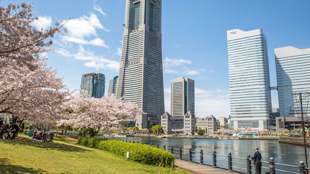 Landmark tower and Queens tower with Sakura shot on 12-April-2017; Shutterstock ID 644150710; Your name (First / Last): Laura Crawford; GL account no.: 65050; Netsuite department name: Online Editorial; Full Product or Project name including edition: BiA: Takayama, south of Tokyo POI images for online