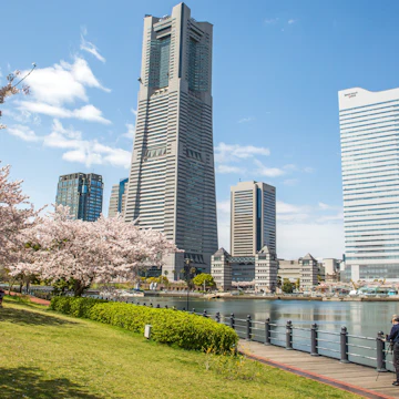 Landmark tower and Queens tower with Sakura shot on 12-April-2017; Shutterstock ID 644150710; Your name (First / Last): Laura Crawford; GL account no.: 65050; Netsuite department name: Online Editorial; Full Product or Project name including edition: BiA: Takayama, south of Tokyo POI images for online