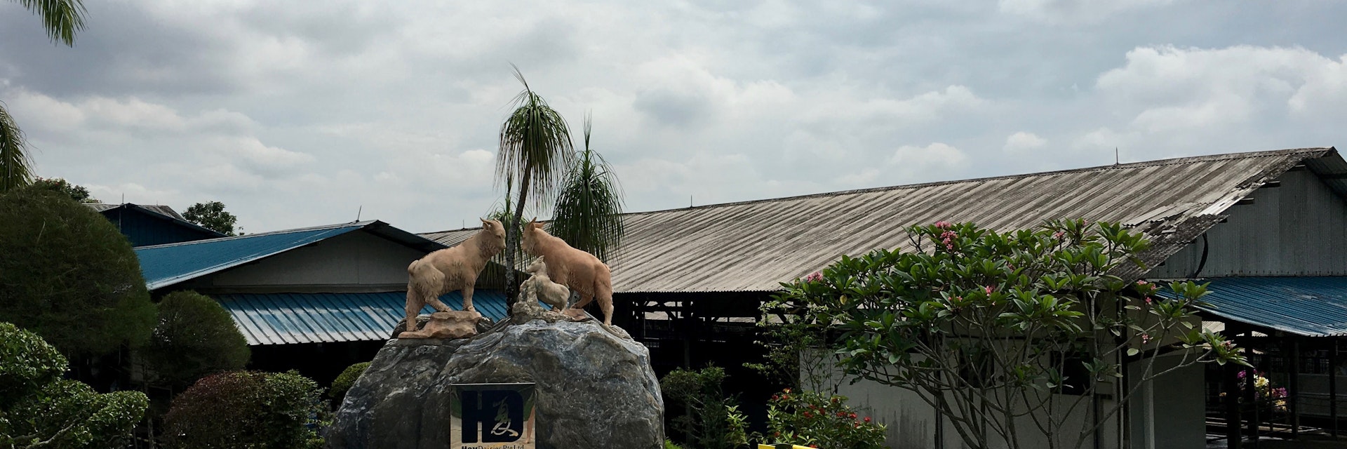 Hay Dairies Goat Farm