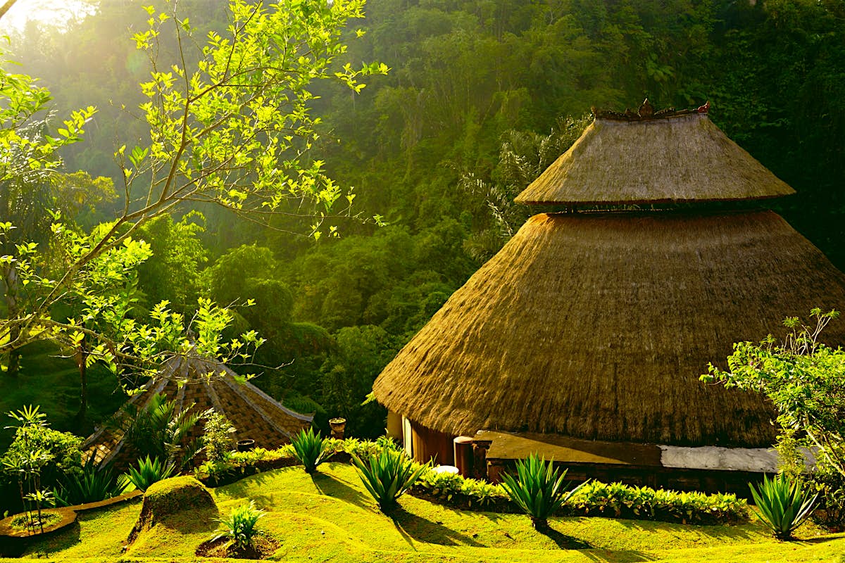  Ubud  travel Bali Indonesia  Lonely Planet
